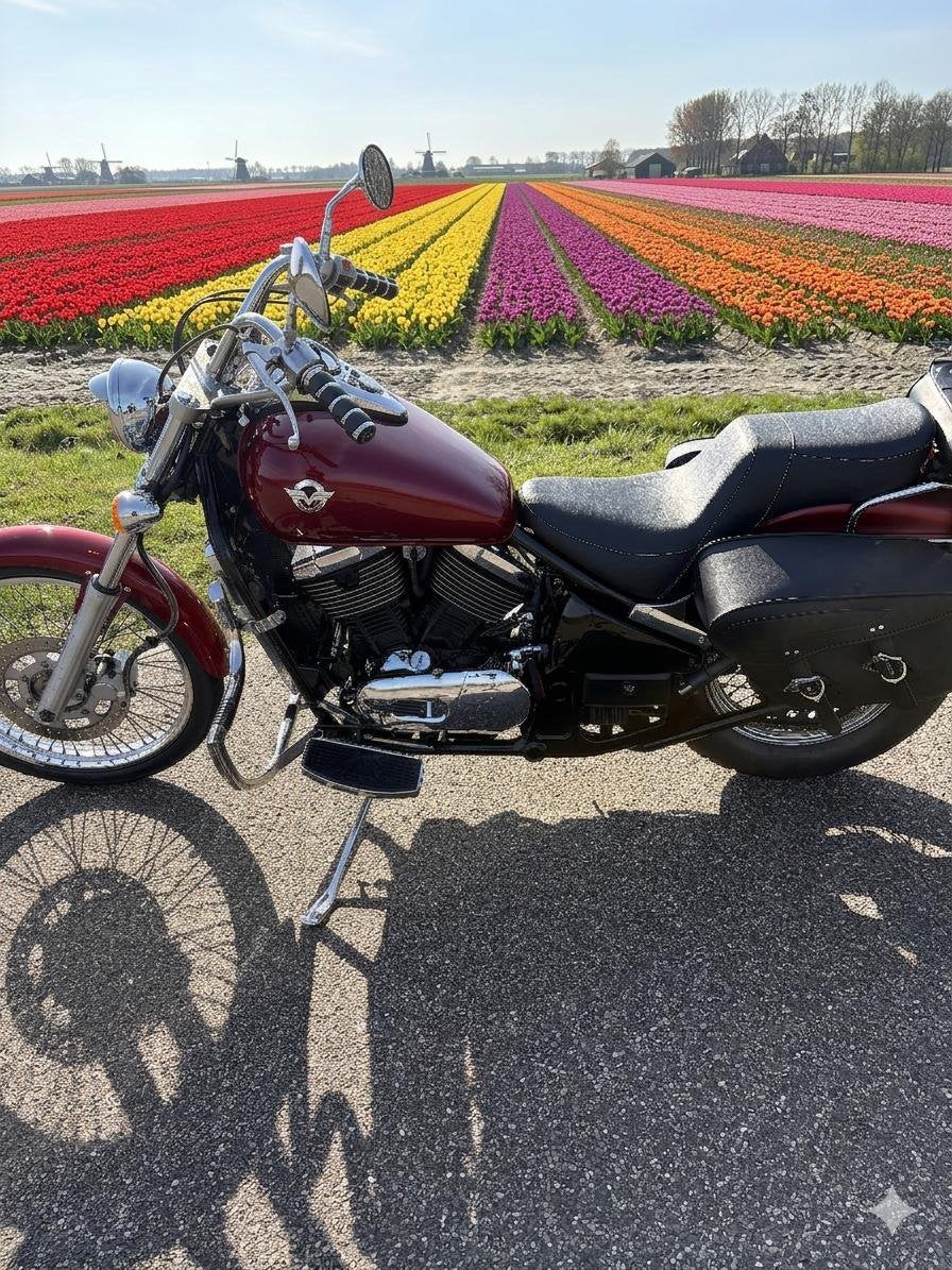 Kawasaki vn 800, Ophalen, Gebruikt