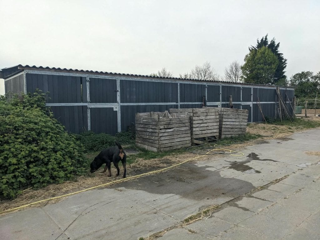 paarden stallen complex aangeboden, Dieren en Toebehoren, Toebehoren, 4 paarden of pony's of meer