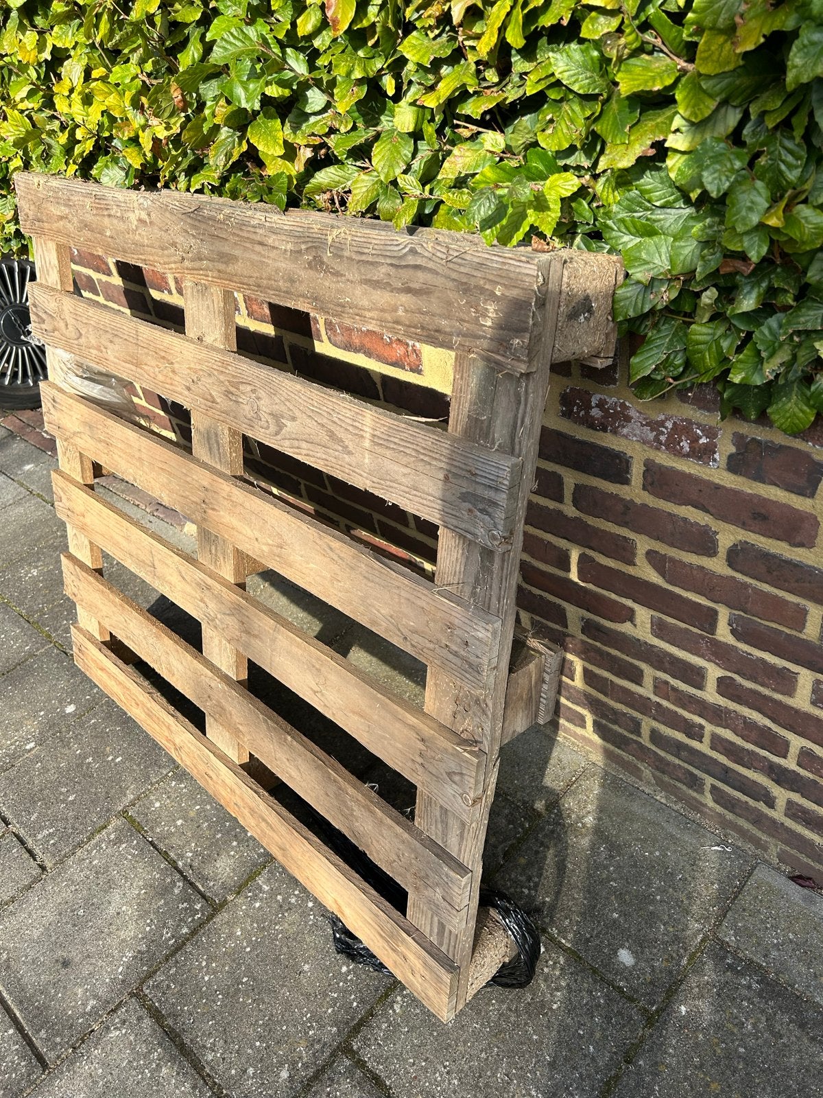 Gebruikte houten pallet, Ophalen, Gebruikt, 50 mm of meer, Pallet