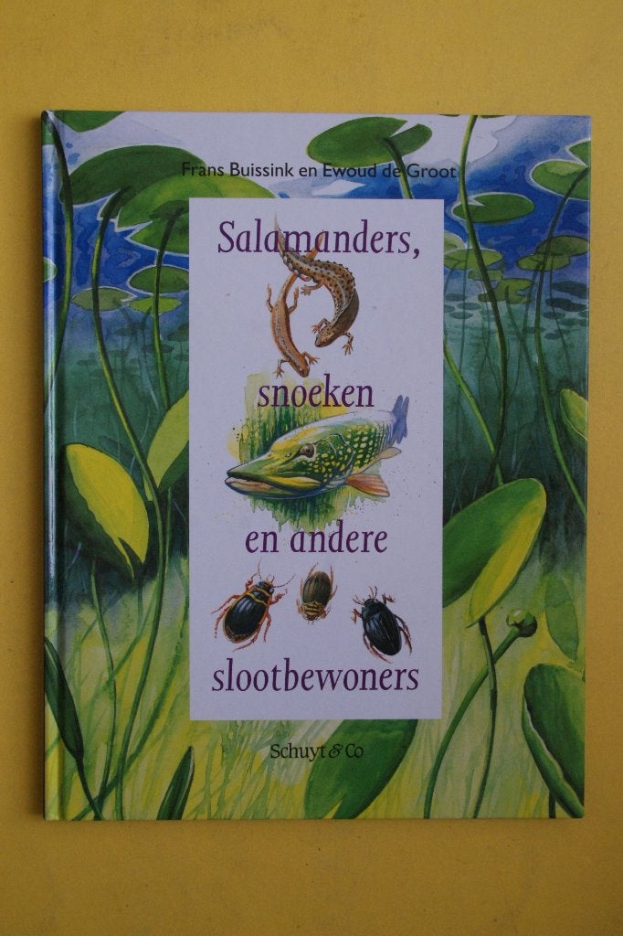 F. Buissink, SALAMANDERS, SNOEKEN en andere SLOOTBEWONERS, Ophalen of Verzenden, Nieuw