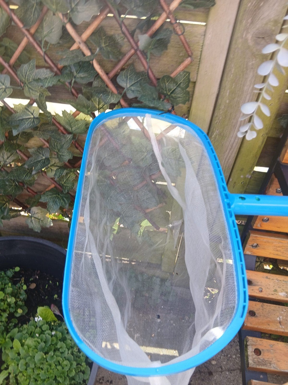 Zwembad schepnet zonder stok - voor schoon zwemwater, Ophalen of Verzenden, Zo goed als nieuw, Overige typen