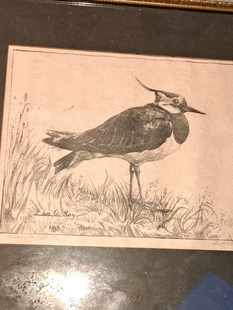 Ets, Realistisch, Dieren, Ophalen of Verzenden, Tekening