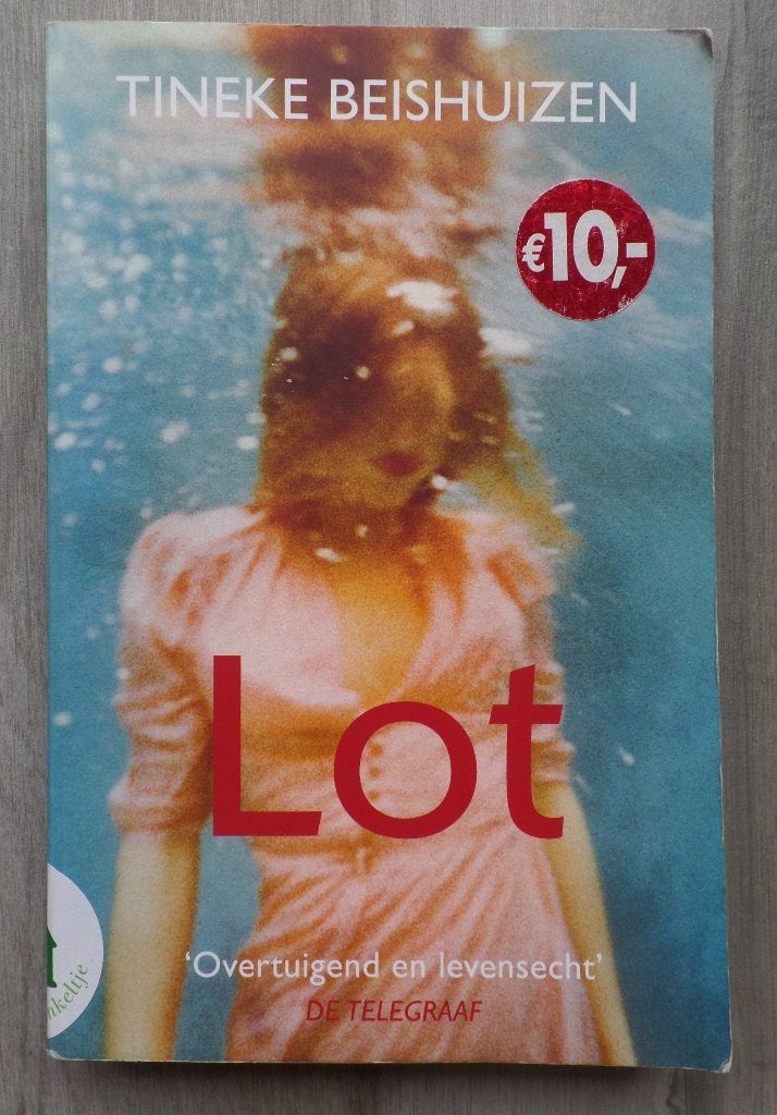 Tineke Beishuizen Lot, Boeken, Ophalen of Verzenden, Zo goed als nieuw, Nederland, Tineke Beishuizen