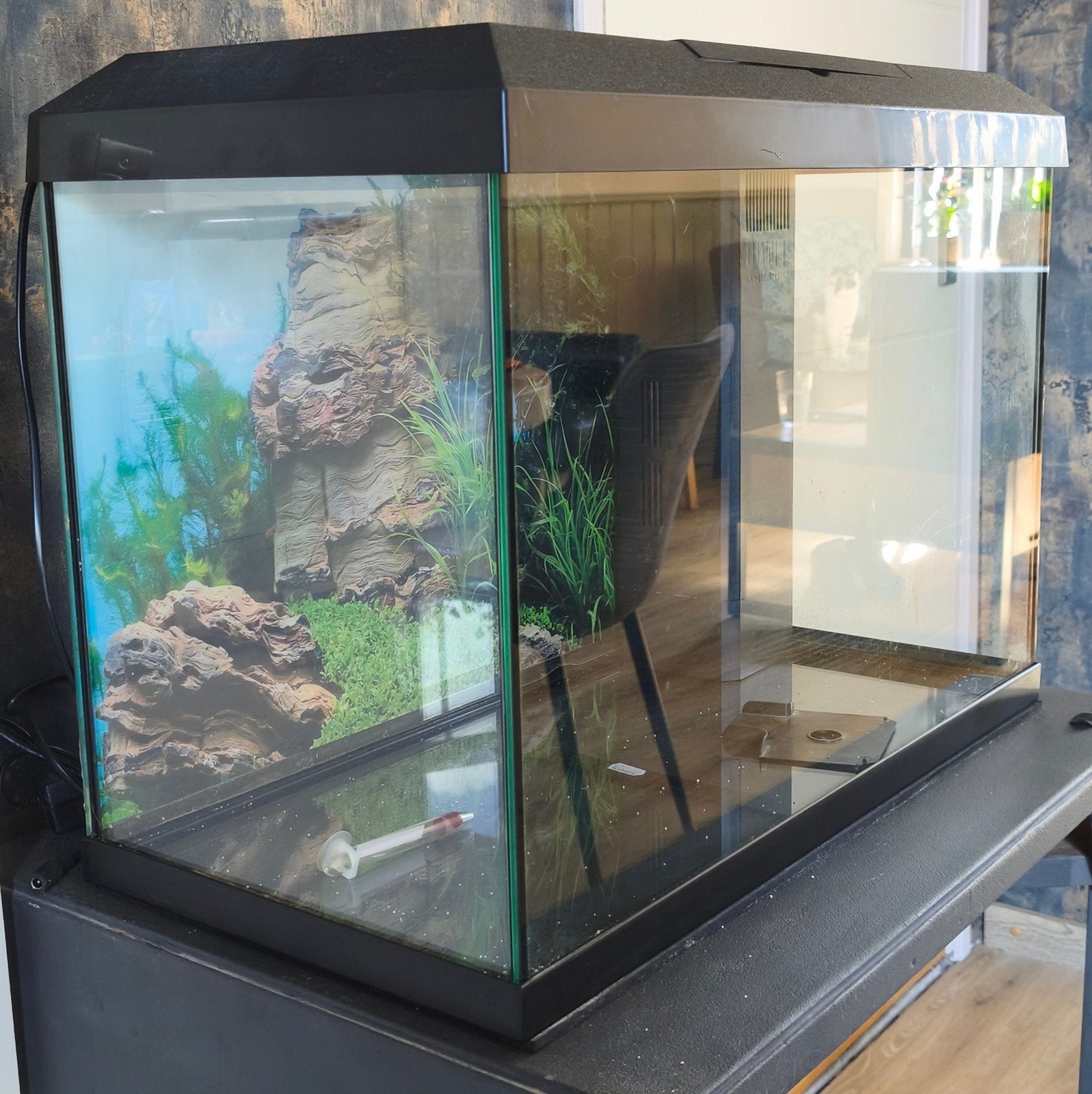 juwel aquarium met hoekfilter  60x30x40, Ophalen, Zo goed als nieuw, Overige typen