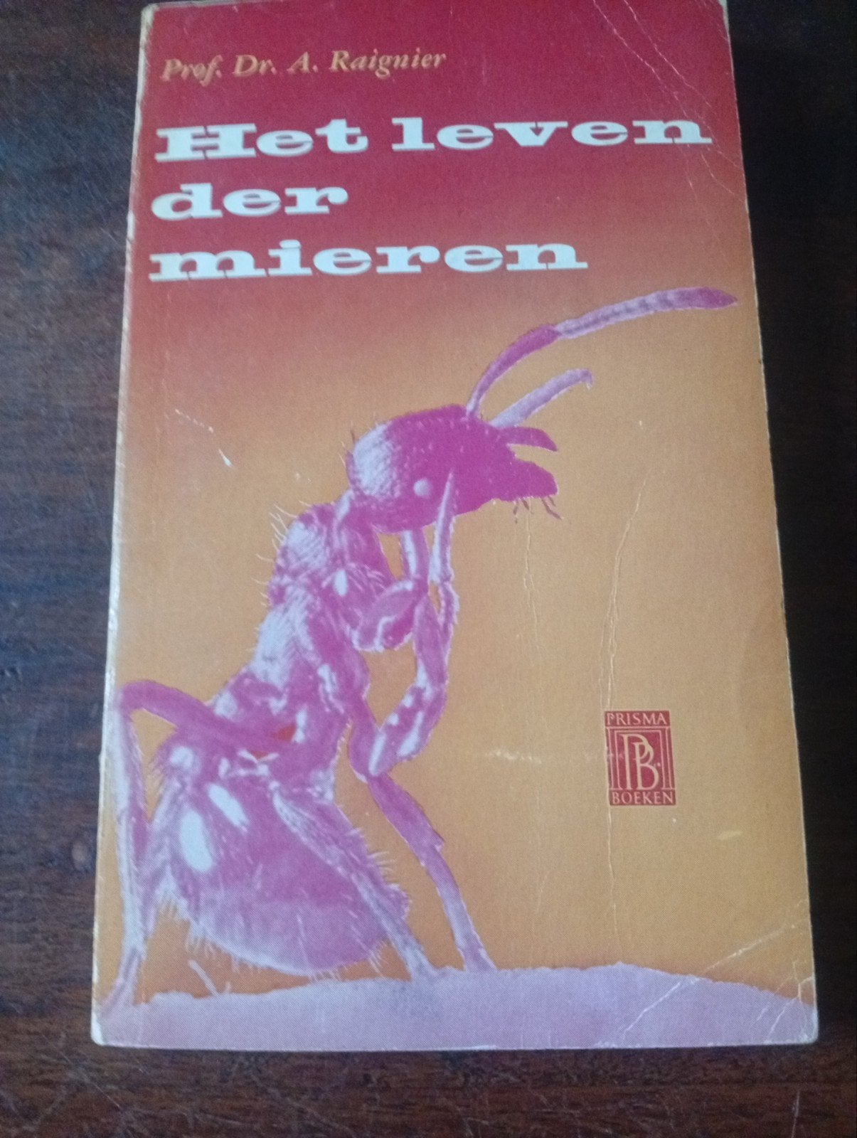 Het leven der mieren - Prof. Dr. A. Raignier, Boeken, Ophalen of Verzenden, Gelezen, Overige onderwerpen, Prof. Dr. A. Raignier