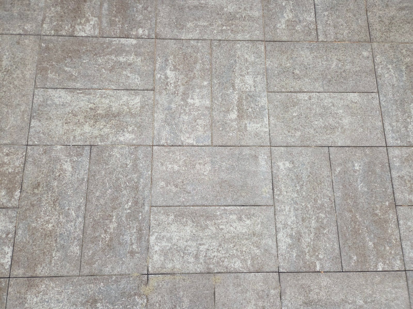 Sierbestrating Grandola betontegels 60x30x4 cm, Tuin en Terras, Tegels en Klinkers, Ophalen, Nieuw, Beton, Terrastegels