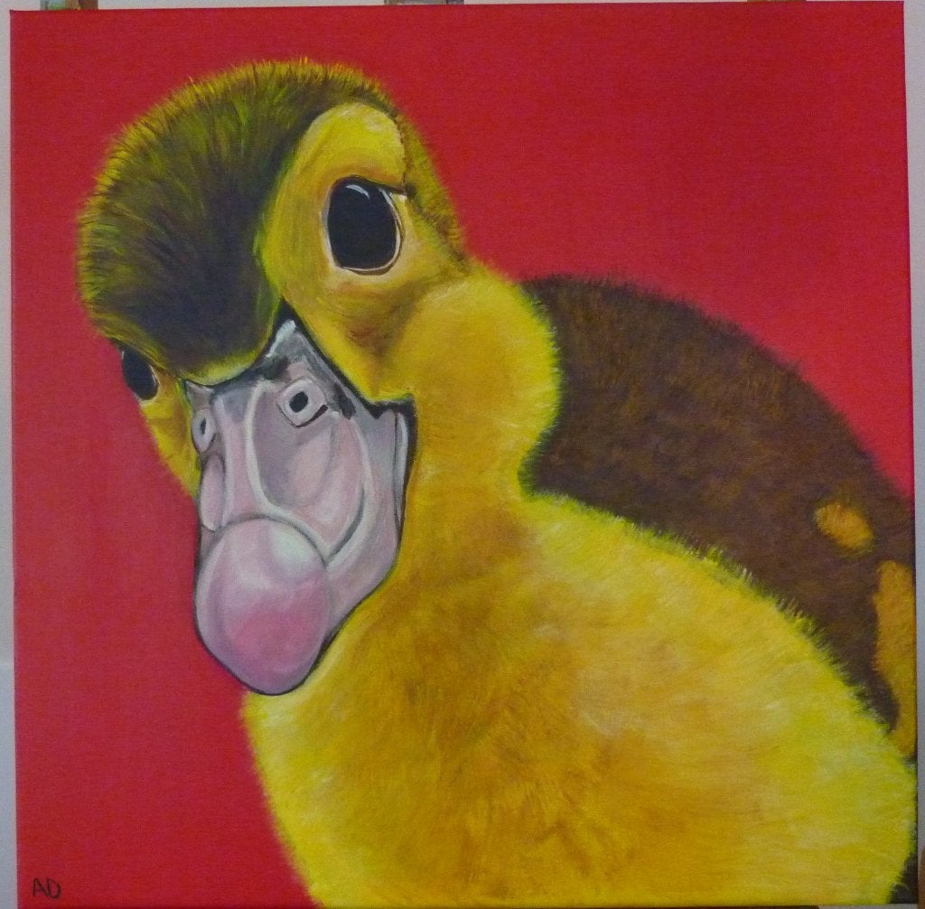 Eend, Acrylverf, Handgeschilderd, Ophalen of Verzenden, Dieren