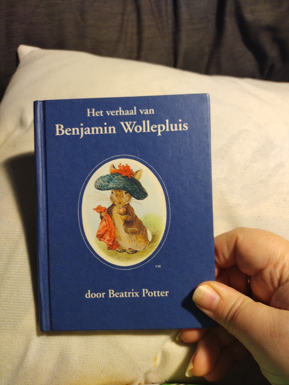 Het verhaal van Benjamin Wollepluis - Beatrix Potter, Boeken, Ophalen of Verzenden, Zo goed als nieuw, Fictie algemeen