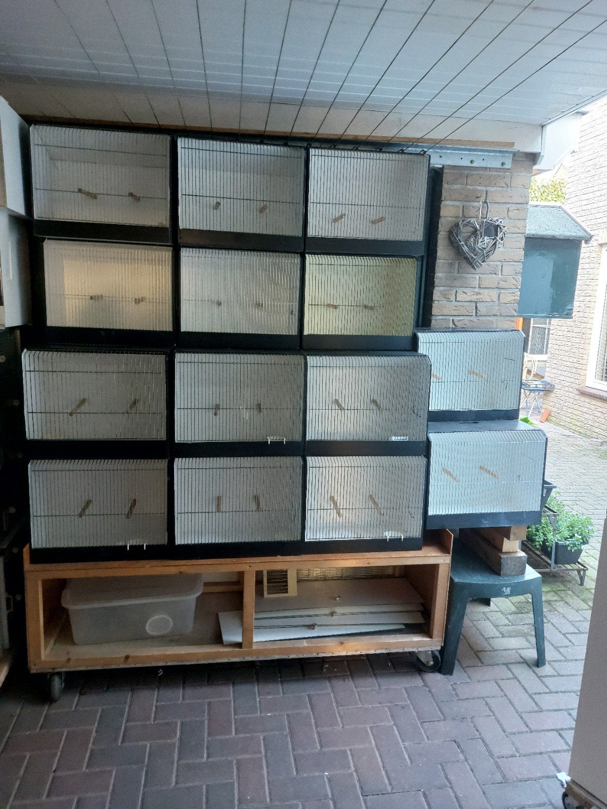 20 grote tt kooien, Dieren en Toebehoren, Ophalen of Verzenden, Gebruikt, Hout