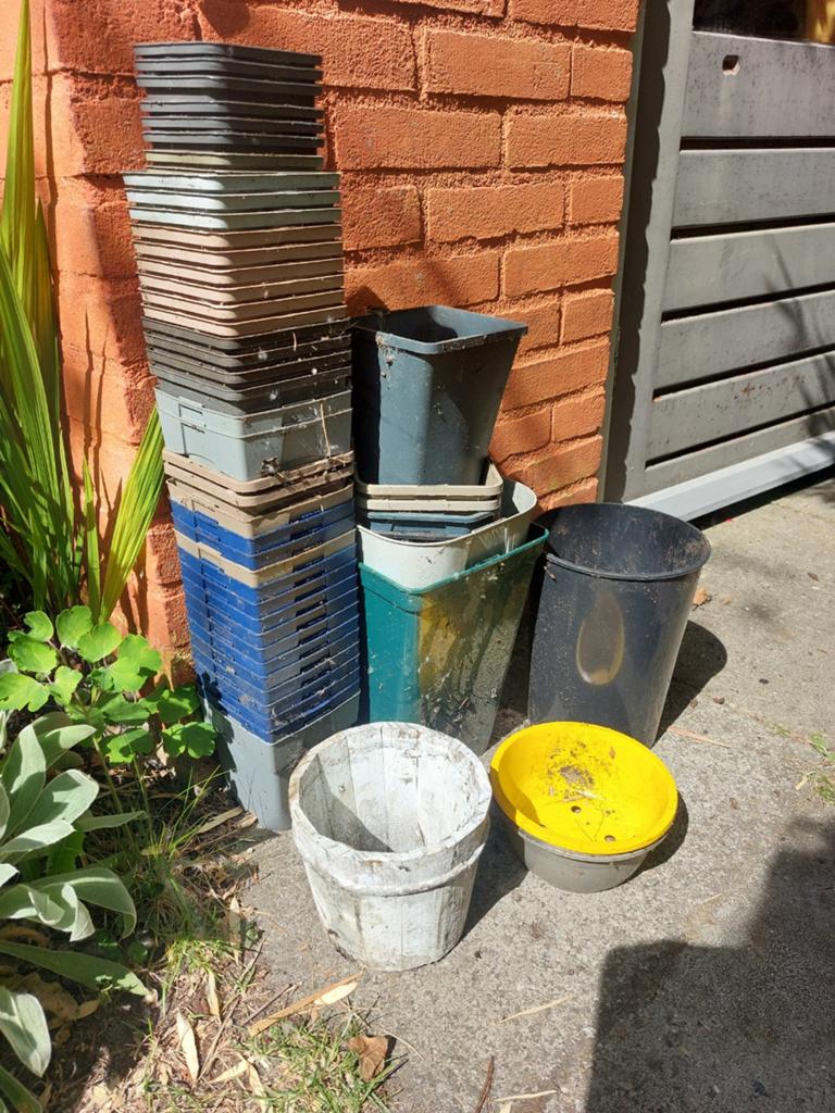 Gratis: plastic potten. Voor kas, balkon of volkstuin, Tuin en Terras, Ophalen, Kunststof, Gebruikt, Minder dan 30 cm