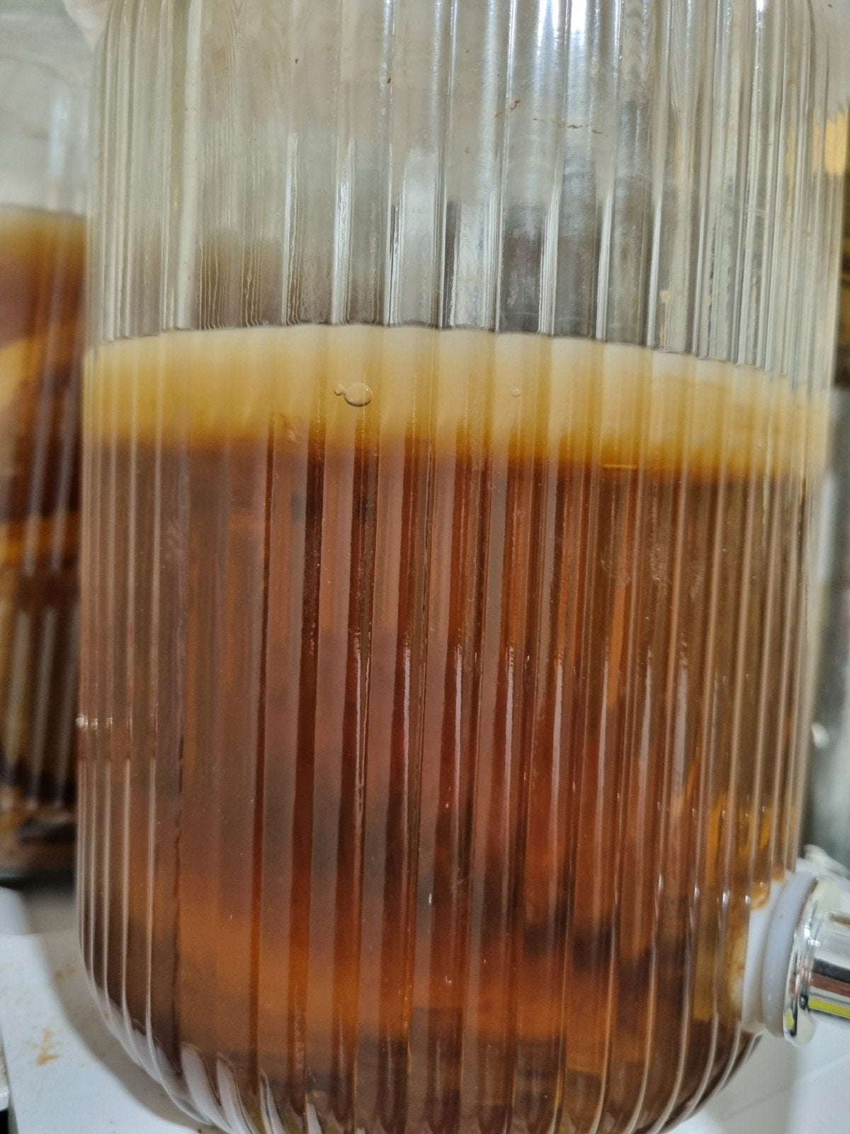 XXL kerngezonde kombucha scoby van biologische thee + 0,5 li, Diversen, Ophalen