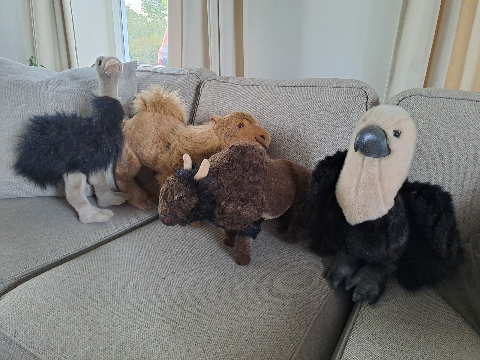 Vier grote knuffels, Ophalen, Zo goed als nieuw, Overige typen
