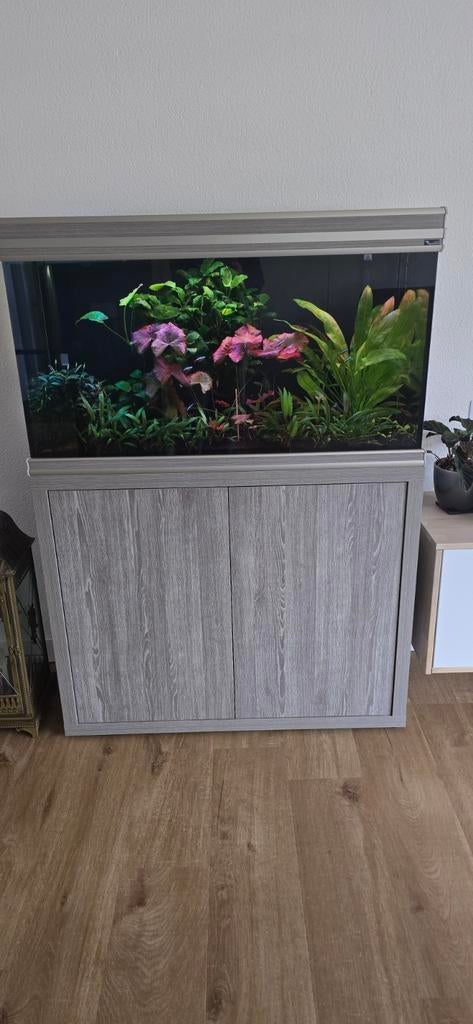 Aquarium aquatlantis, Ophalen, Gebruikt, Aquatlantis, Gevuld zoetwateraquarium