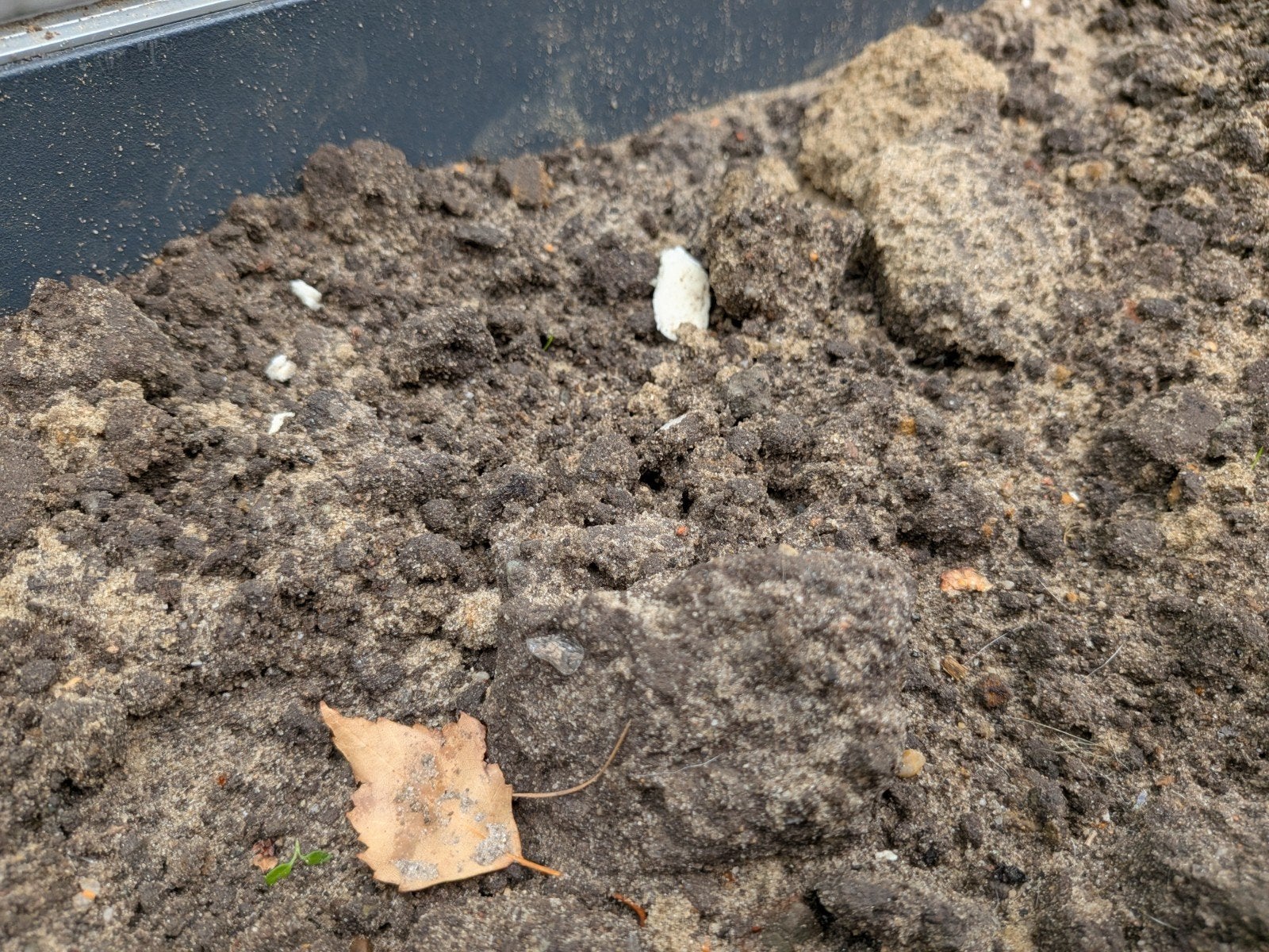 Zwart Zand Tuinaarde GRATIS, Tuin en Terras, Aarde en Mest, Ophalen