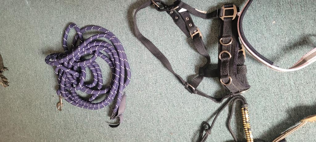 Halsters  cob + vliegenkap, Dieren en Toebehoren, Ophalen of Verzenden, Overige soorten