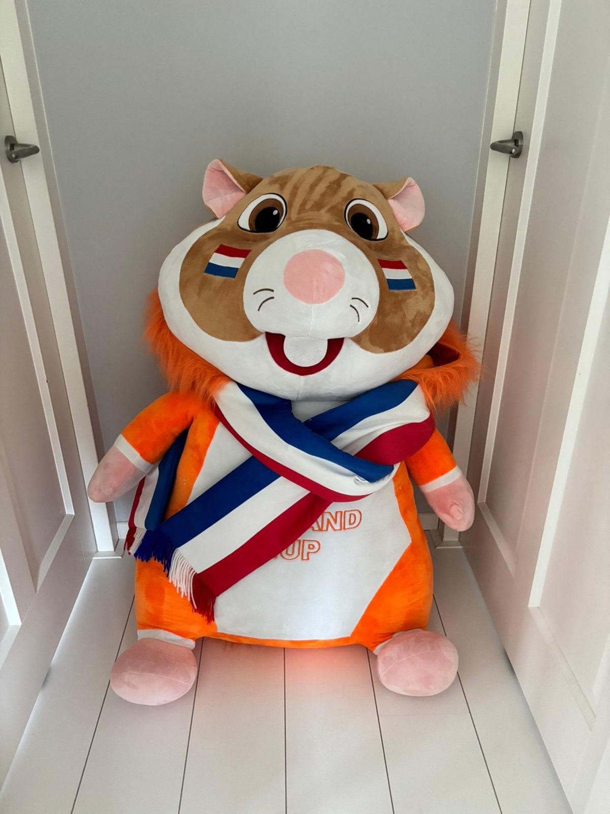 XXXXL Hamster, Ophalen, Nieuw, Overige typen