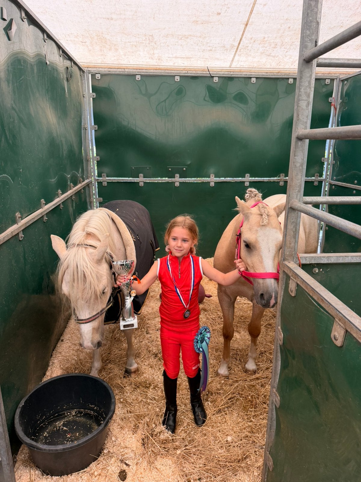 🦄✨ LIEVE A-, B- & C-PONY’S TE KOOP ✨🦄, Dieren en Toebehoren, Ruin, B pony (1.17m tot 1.27m), Met stamboom, 3 tot 6 jaar