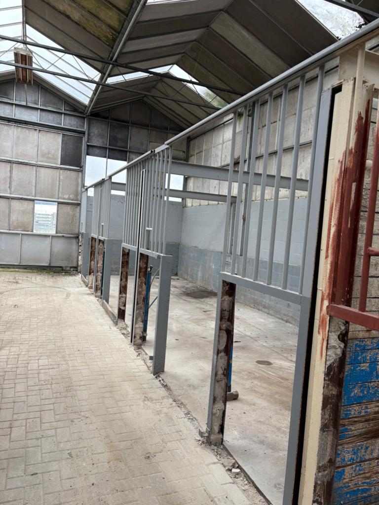 Te koop Paarden boxen stallen, Dieren en Toebehoren, Stalling en Weidegang