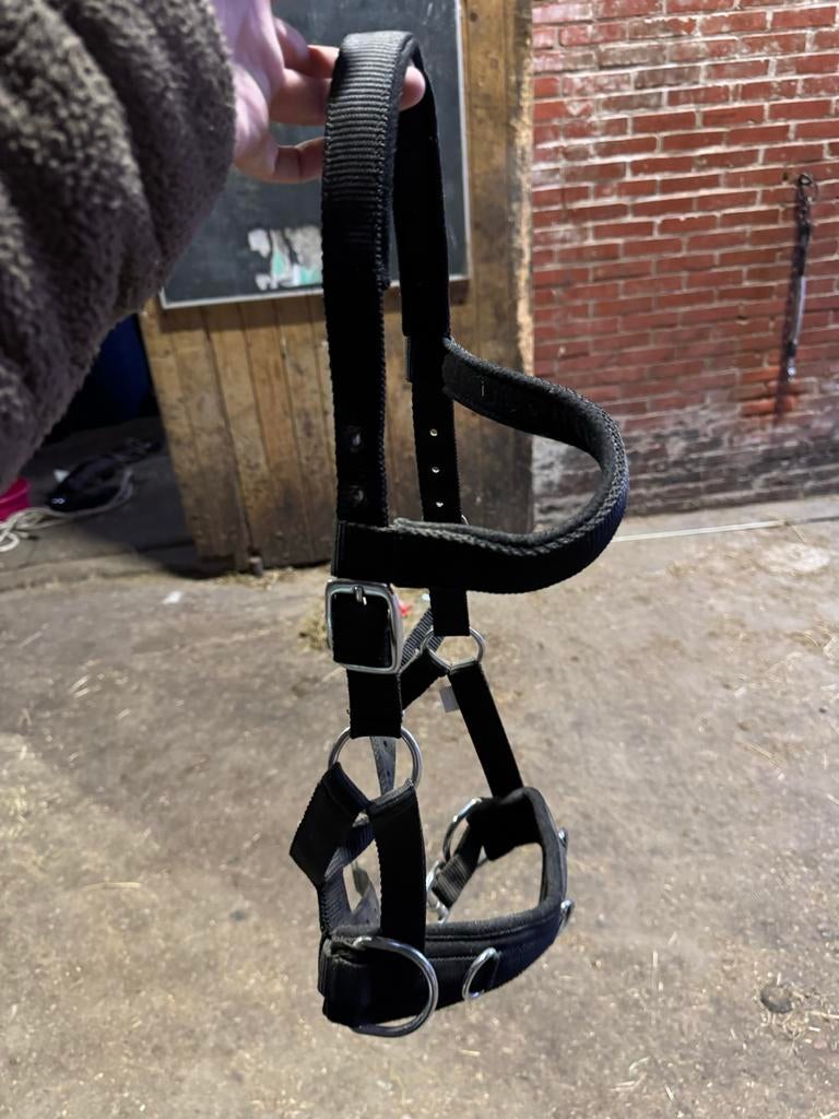 Kaptoom maat Pony, Dieren en Toebehoren, Paarden en Pony's | Hoofdstellen en Tuigage, Ophalen of Verzenden, Nieuw, Overige soorten