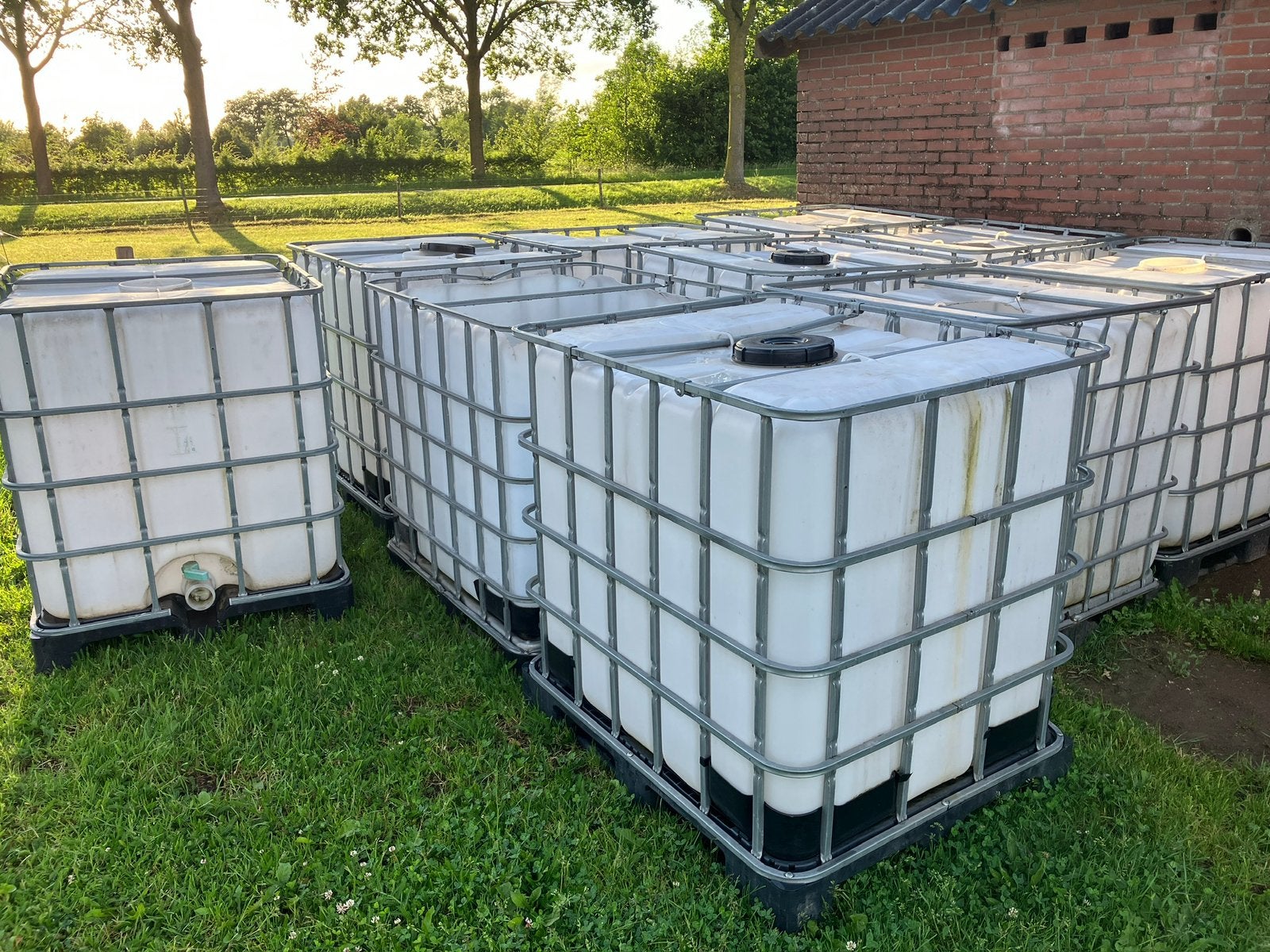 IBC vatten / kratten 1000ltr, Tuin en Terras, 150 liter of meer, Ophalen, Gebruikt, Overige materialen