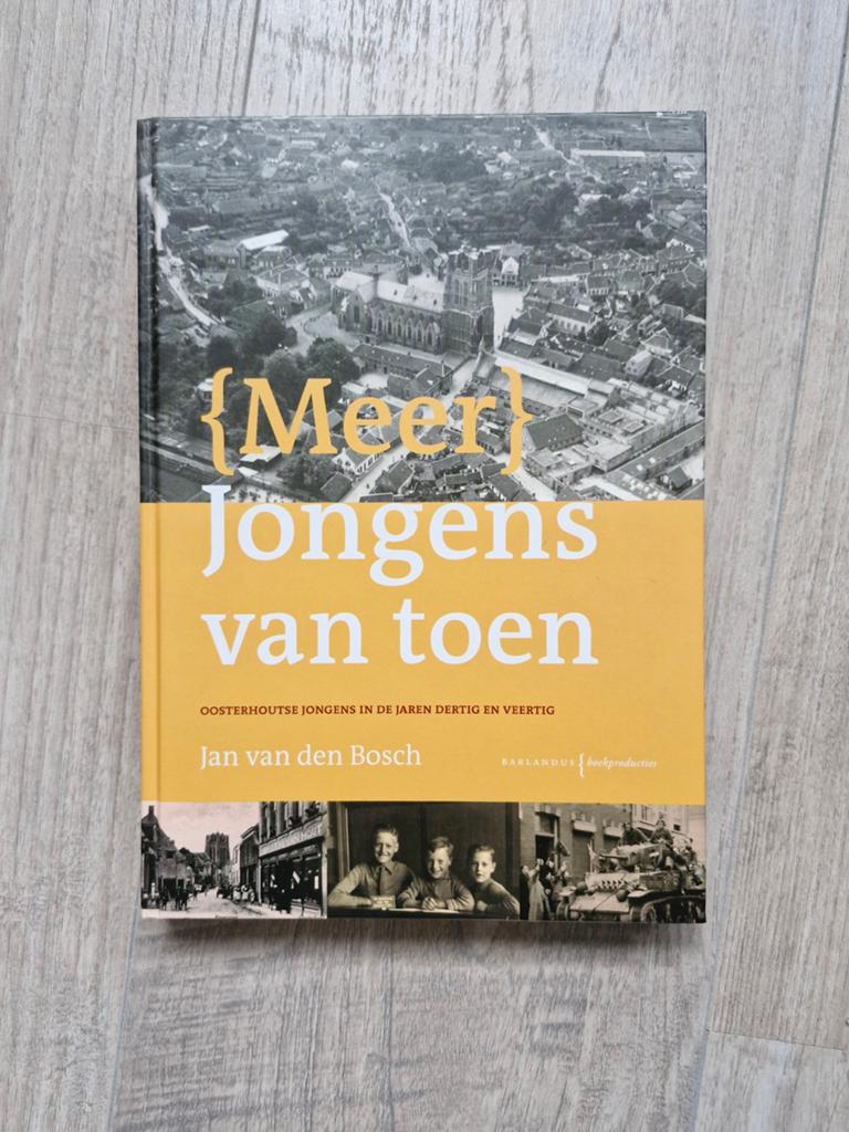Meer jongens van toen, Boeken, Geschiedenis | Stad en Regio, 20e eeuw of later, Jan van den Bosch, Ophalen of Verzenden, Zo goed als nieuw