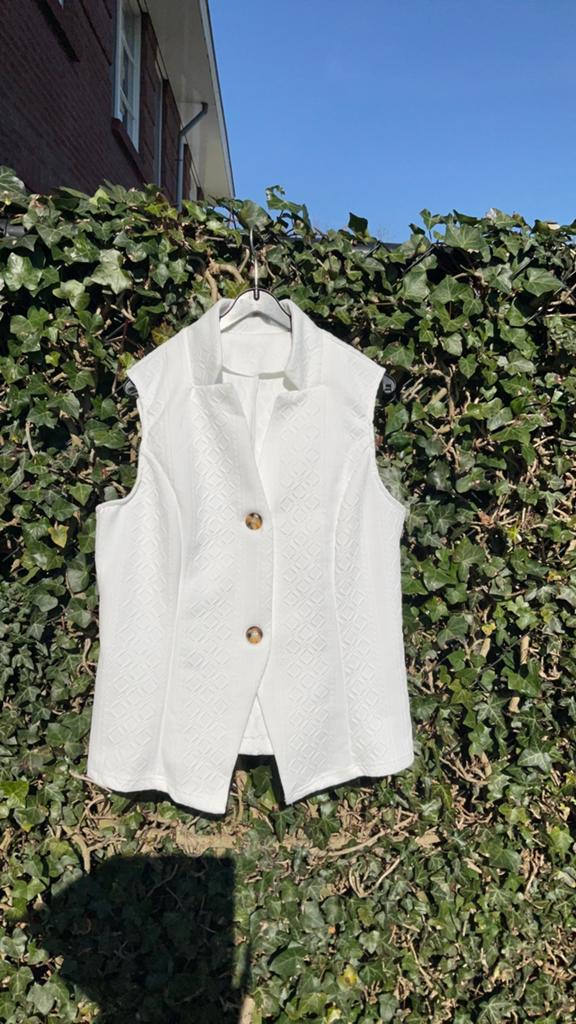 Gilet! Nieuw, Kleding | Dames, Bodywarmers, Ophalen of Verzenden, Nieuw, Maat 38/40 (M)