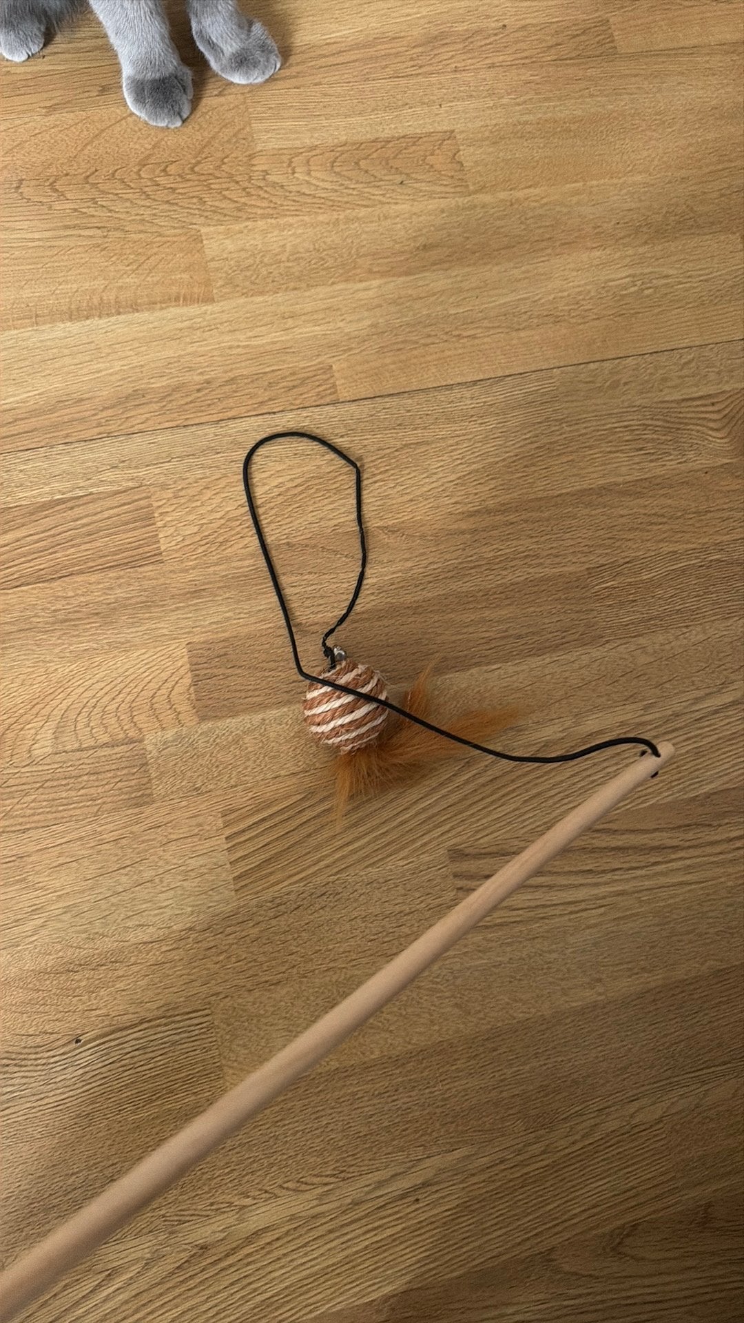 Kattenspeeltjes 4 per stuk korthaar, Ophalen of Verzenden, Gebruikt