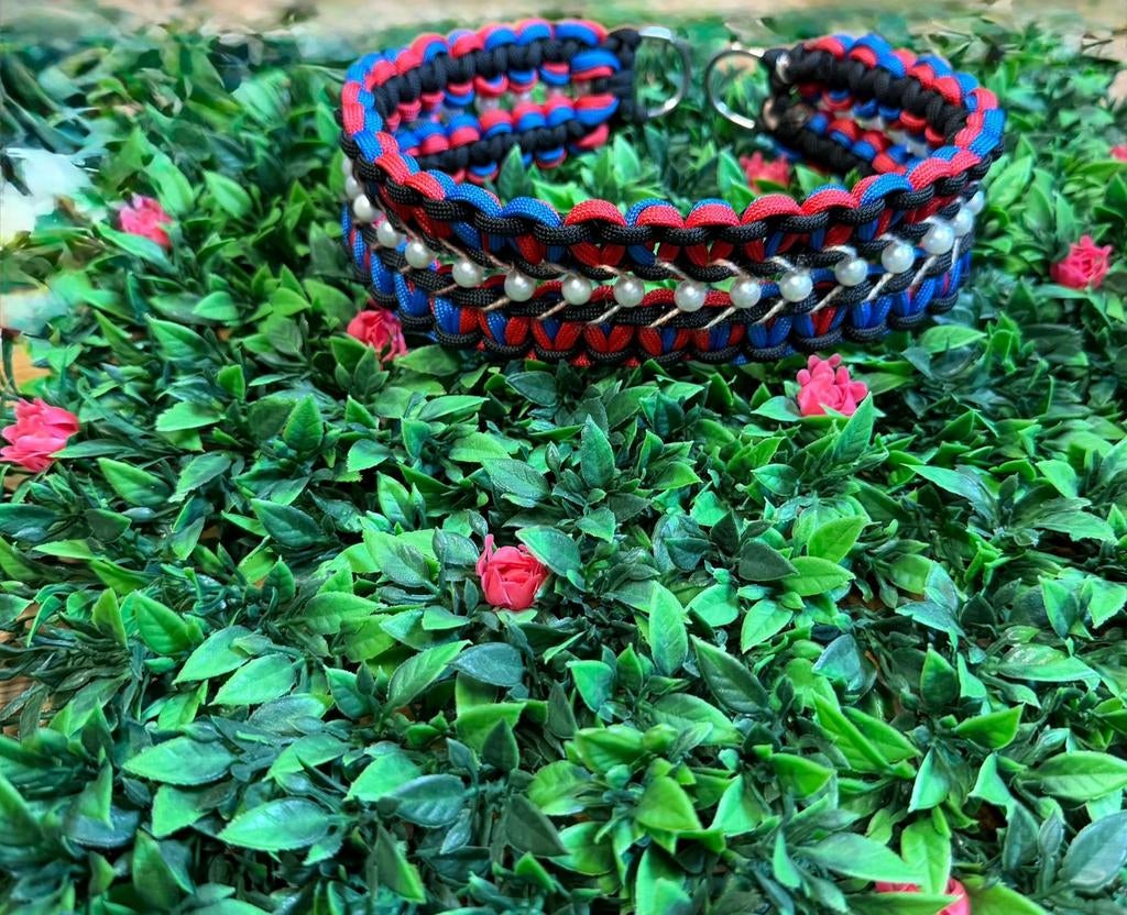 Halsband, Ophalen of Verzenden, Nieuw