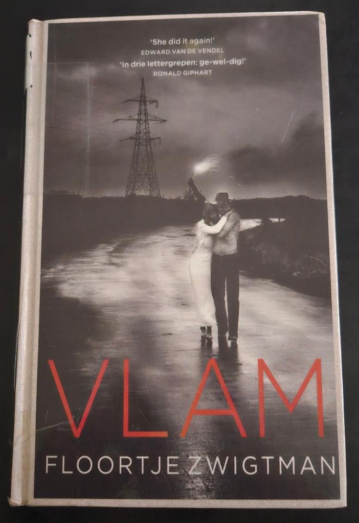 Boek Floortje Zwigtman Vlam, Boeken, Ophalen of Verzenden, Gelezen, Floortje zwigtman