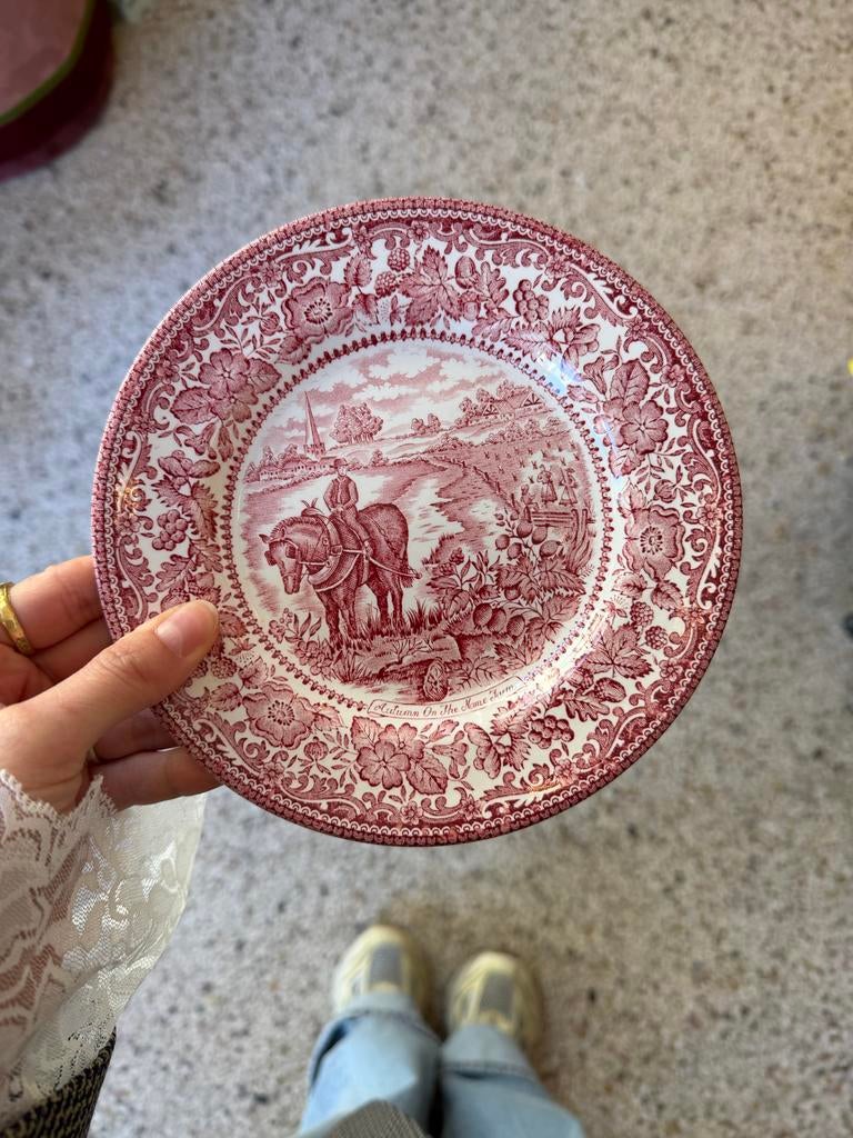 12 Vintage Engelse Four Seasons Borden Rood 17,5 cm, Ophalen of Verzenden