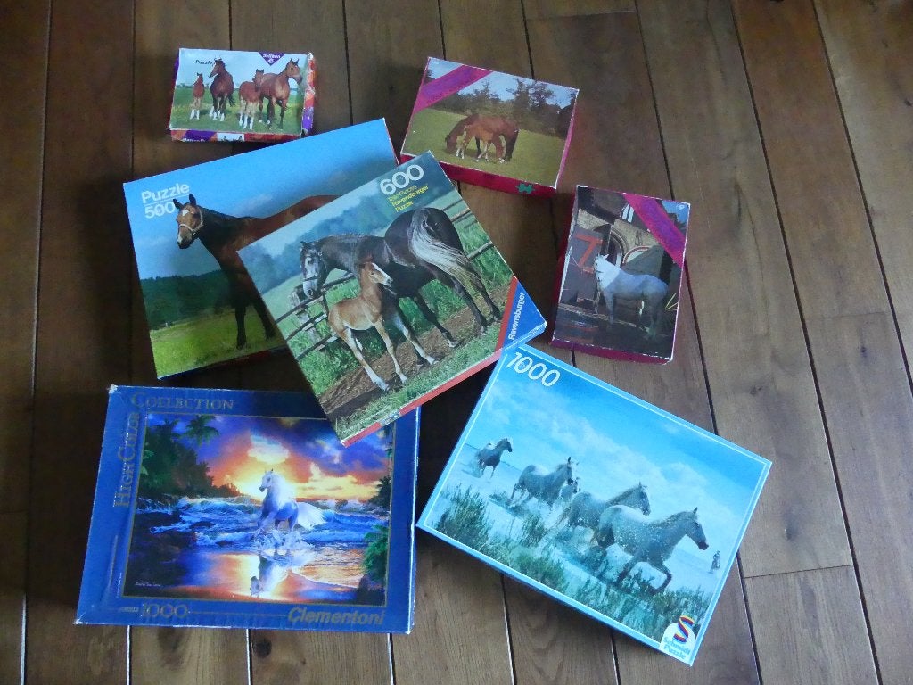 dierenboeken/paardenpuzzels, Ophalen, Gelezen