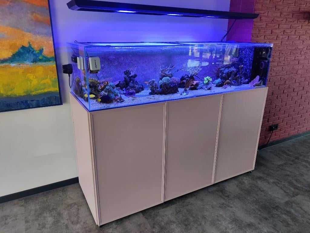 Compleet Zeeaquarium Peninsula 180x65x42 met inhoud - UPDATE, Dieren en Toebehoren, Ophalen, Gevuld zeewateraquarium, Overige merken