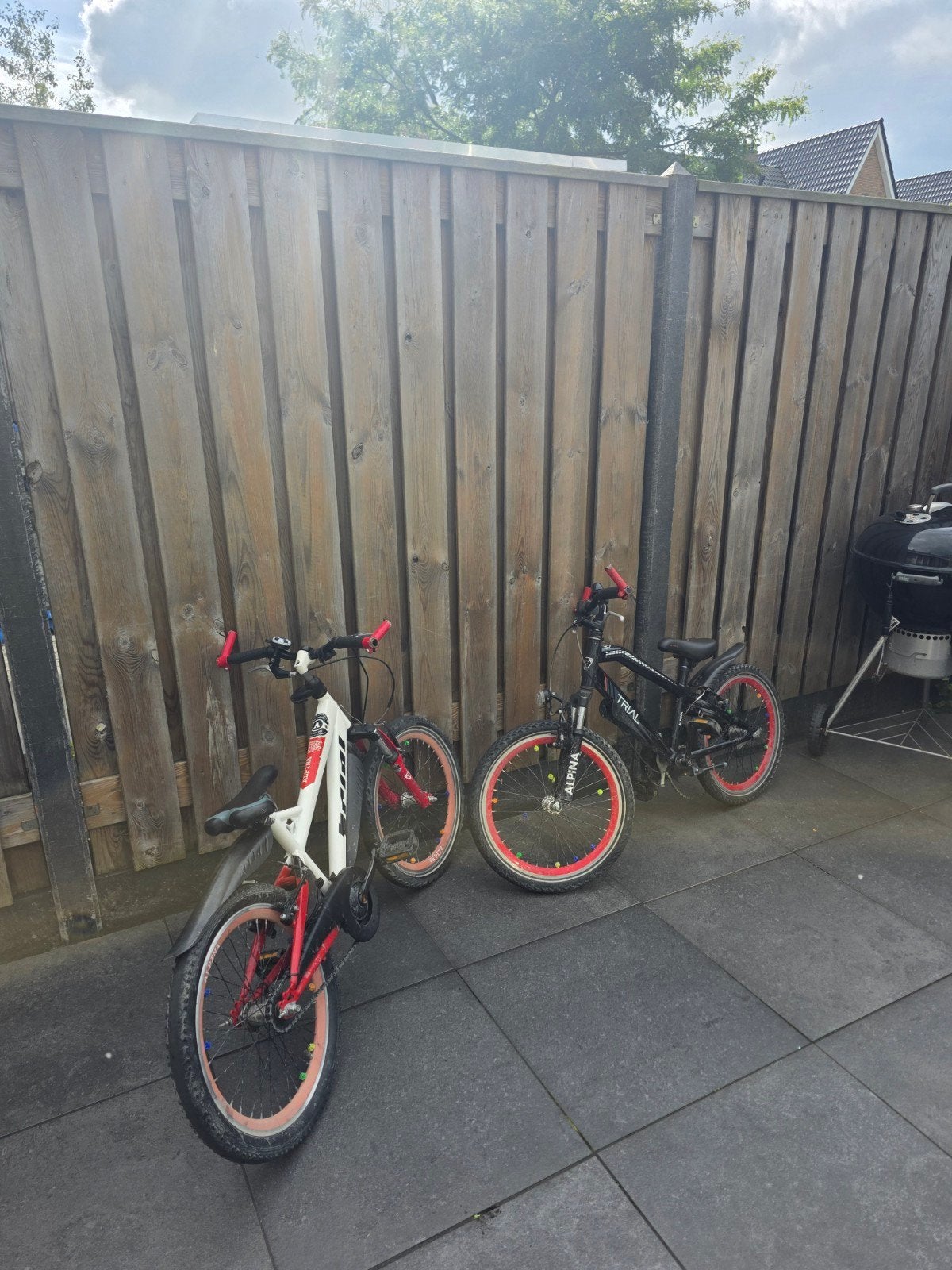 Twee Alpina Trial fietsen 20 inch - Gebruikt, Fietsen en Brommers, Ophalen of Verzenden, Gebruikt, 20 inch of meer, Alpina