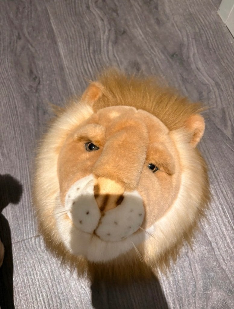 Leeuwen kop voor aan de muur, Ophalen, Overige merken, Bruin, Zo goed als nieuw