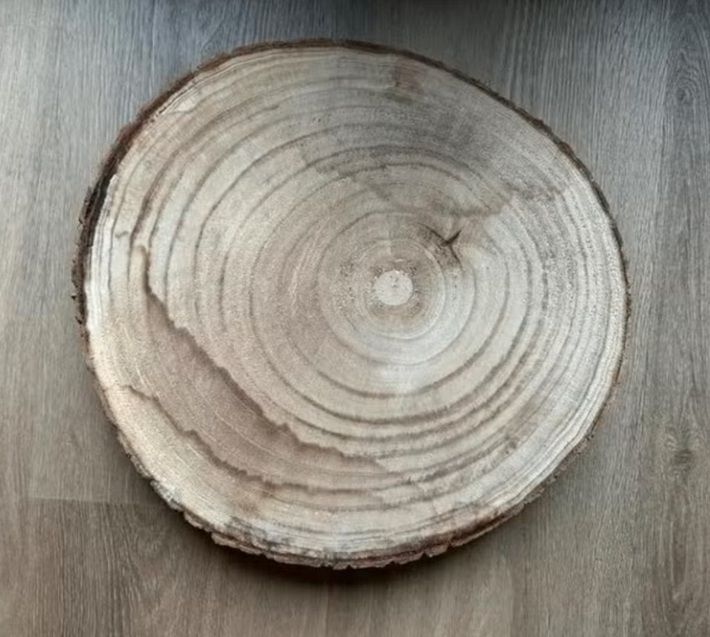 Houten boomschijf, Ophalen of Verzenden, Zo goed als nieuw, Rond, Hout