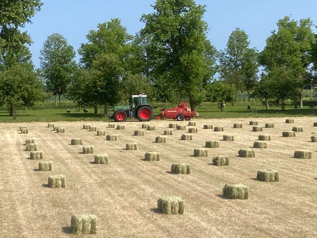 Hooibalen / 'volkoren' hooi!, Ophalen, Vee
