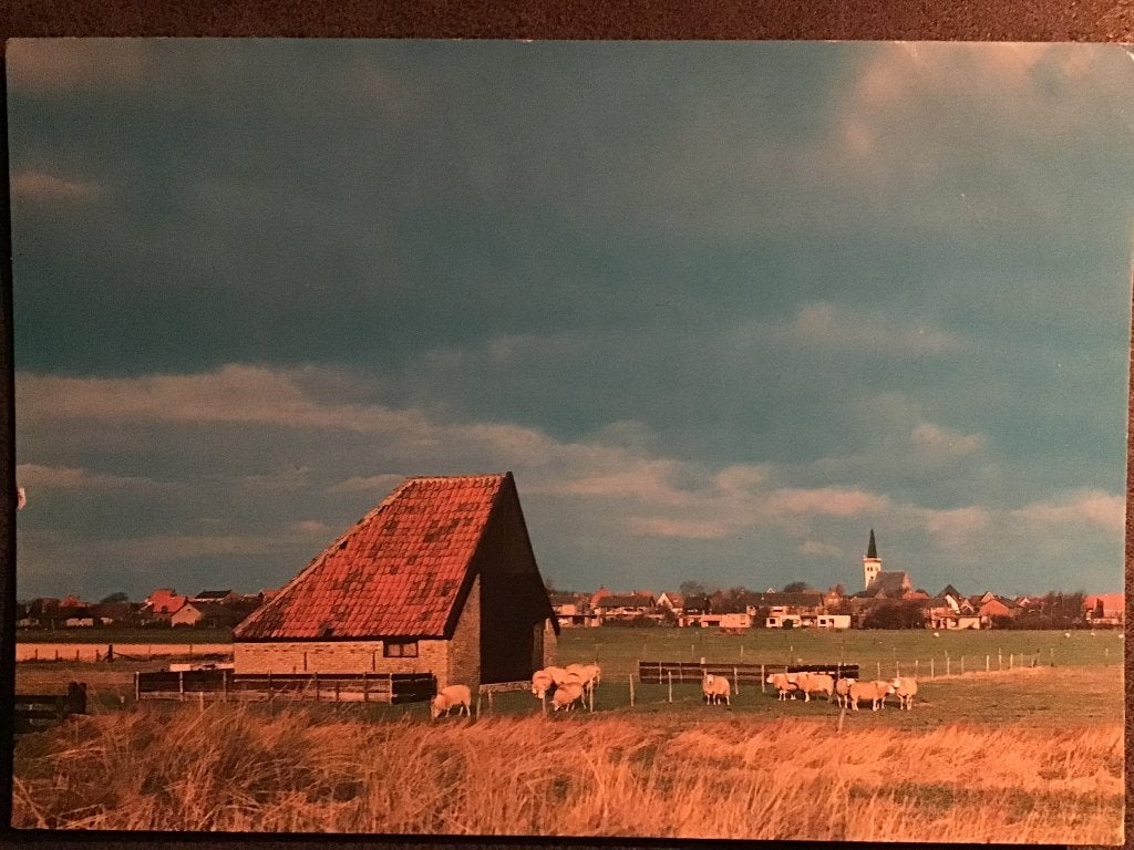 Oude Ansichtkaart Texel - Gezicht op Den Hoorn 1985, Verzamelen, Ophalen of Verzenden, 1980 tot heden, Gelopen, Noord-Holland
