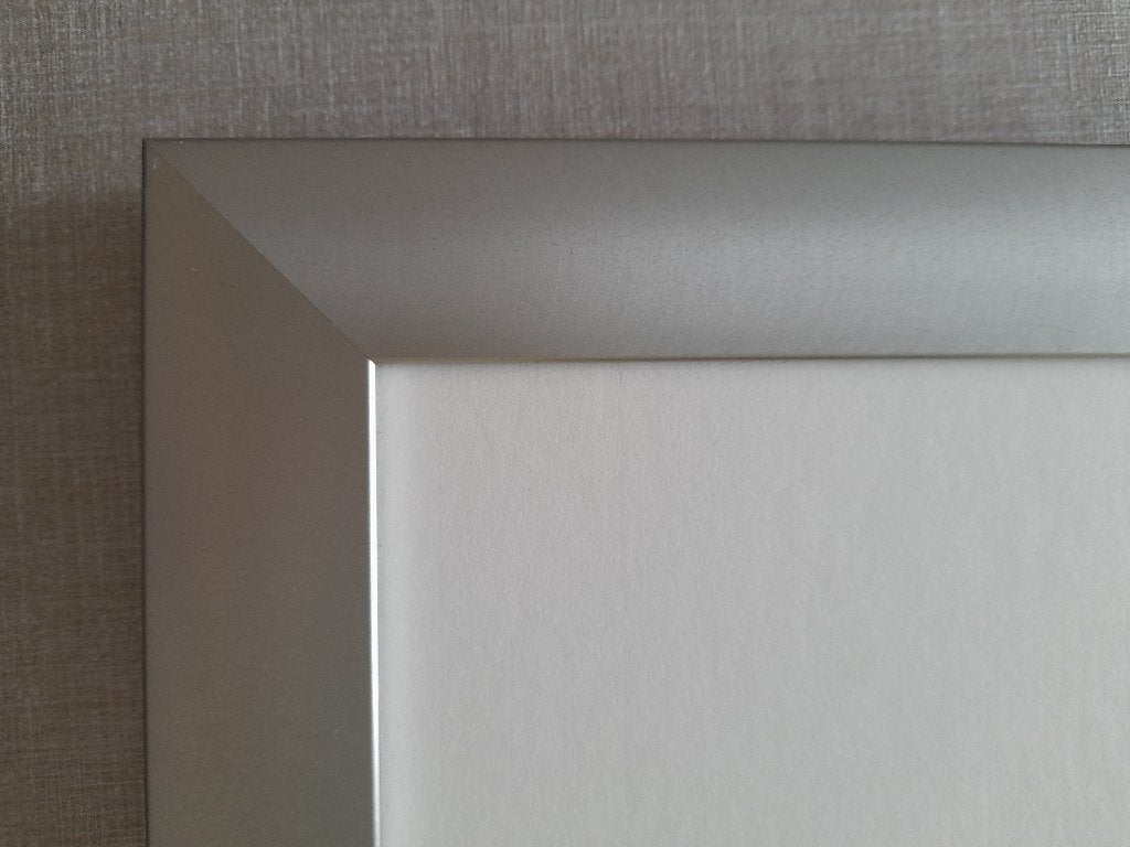 RVS lijst 55cm x 67cm met passe-partout, Ophalen, Overige materialen, Handgemaakt, Overige typen