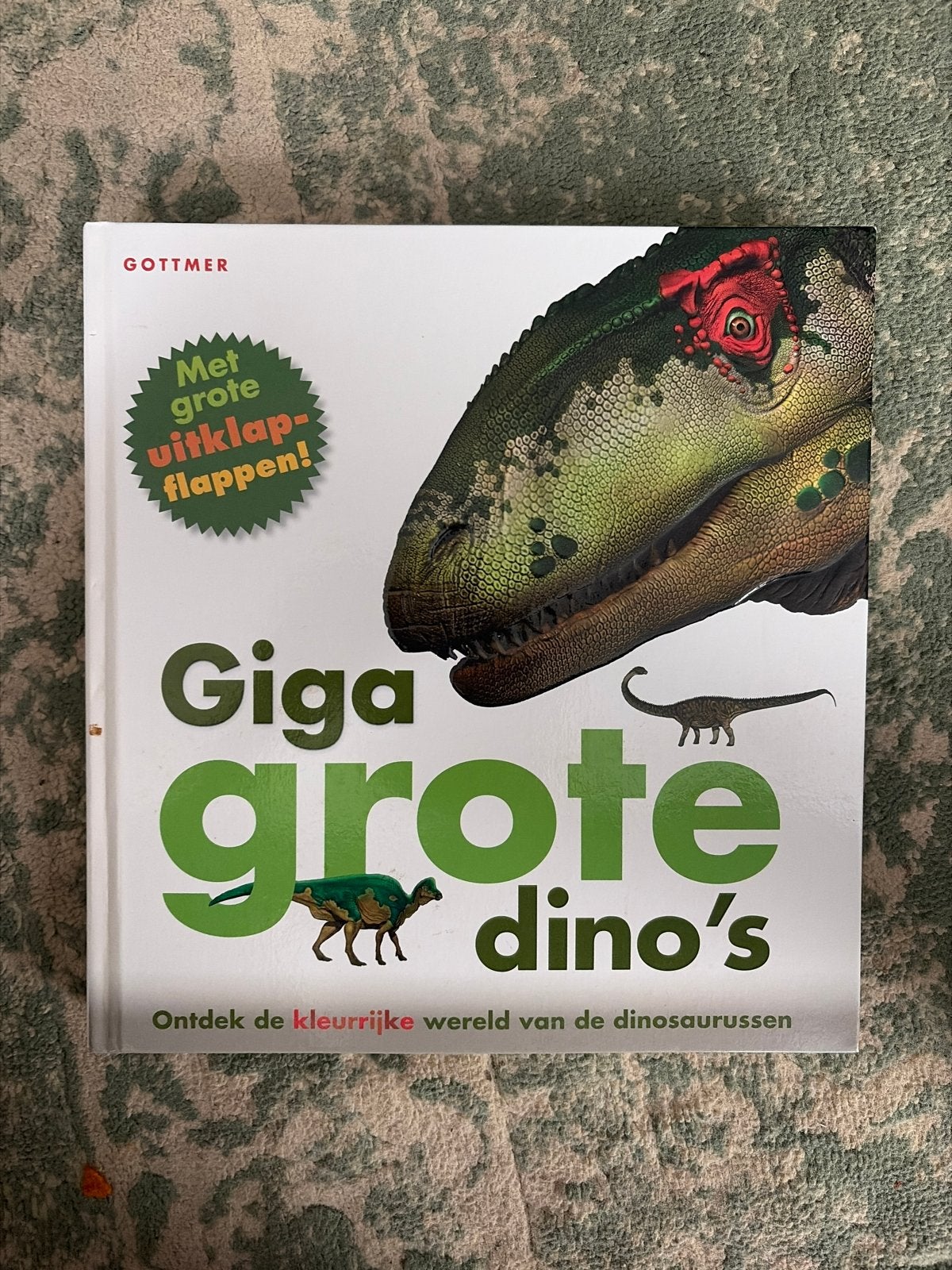 Giga Grote Dino's - Ontdek de kleurrijke wereld, Boeken, Ophalen of Verzenden, Zo goed als nieuw, Non-fictie