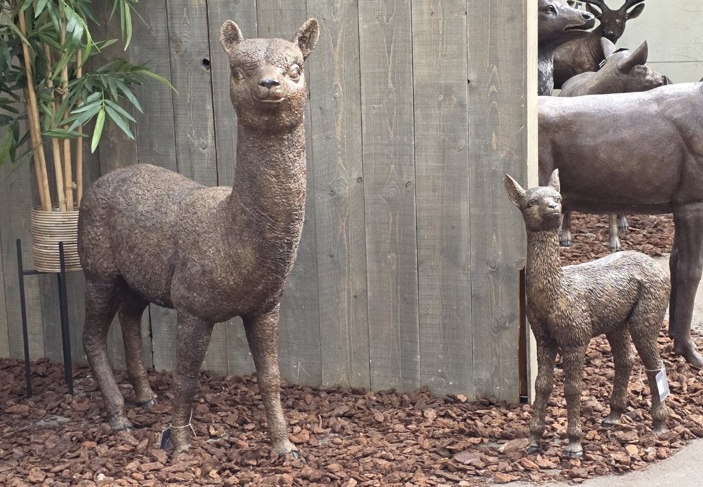 ALPACA / BRONZEN TUINBEELD, Dierenbeeld, Nieuw, Info@huisentuindecoratiemarie.nl, Huis en tuin decoratie marie