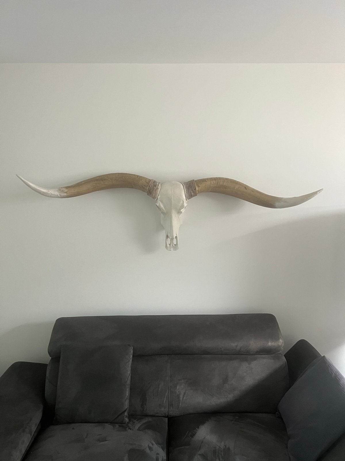 Decoratieve Longhorn schedel, Ophalen, Overige materialen, Boho, Zo goed als nieuw