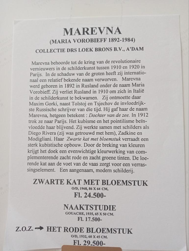 Marevna Maria Vorobrieff 'Het Rode Bloemstuk' persfoto, Ophalen of Verzenden