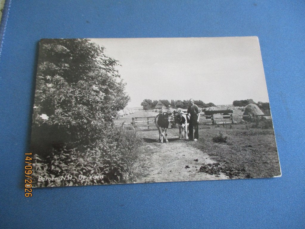 Bergen (NH), Ophalen of Verzenden, Voor 1920, Gelopen, Noord-Holland