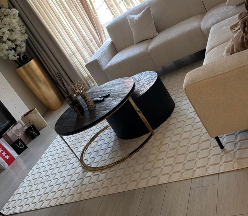 Japandi style tapijt – 290x200 cm, 200 cm of meer, Ophalen of Verzenden, Zo goed als nieuw, 75 cm of meer
