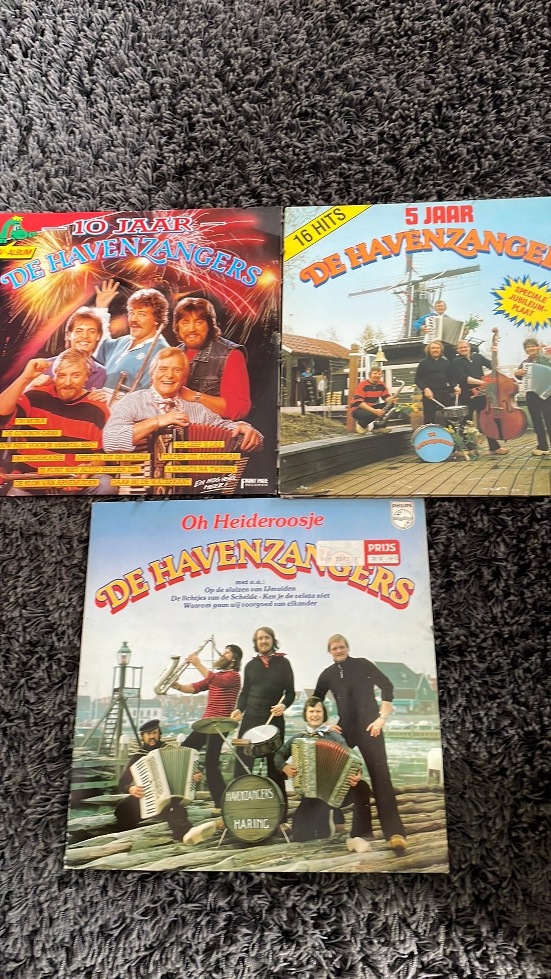 De Havenzangers, Ophalen of Verzenden, Zo goed als nieuw, LP