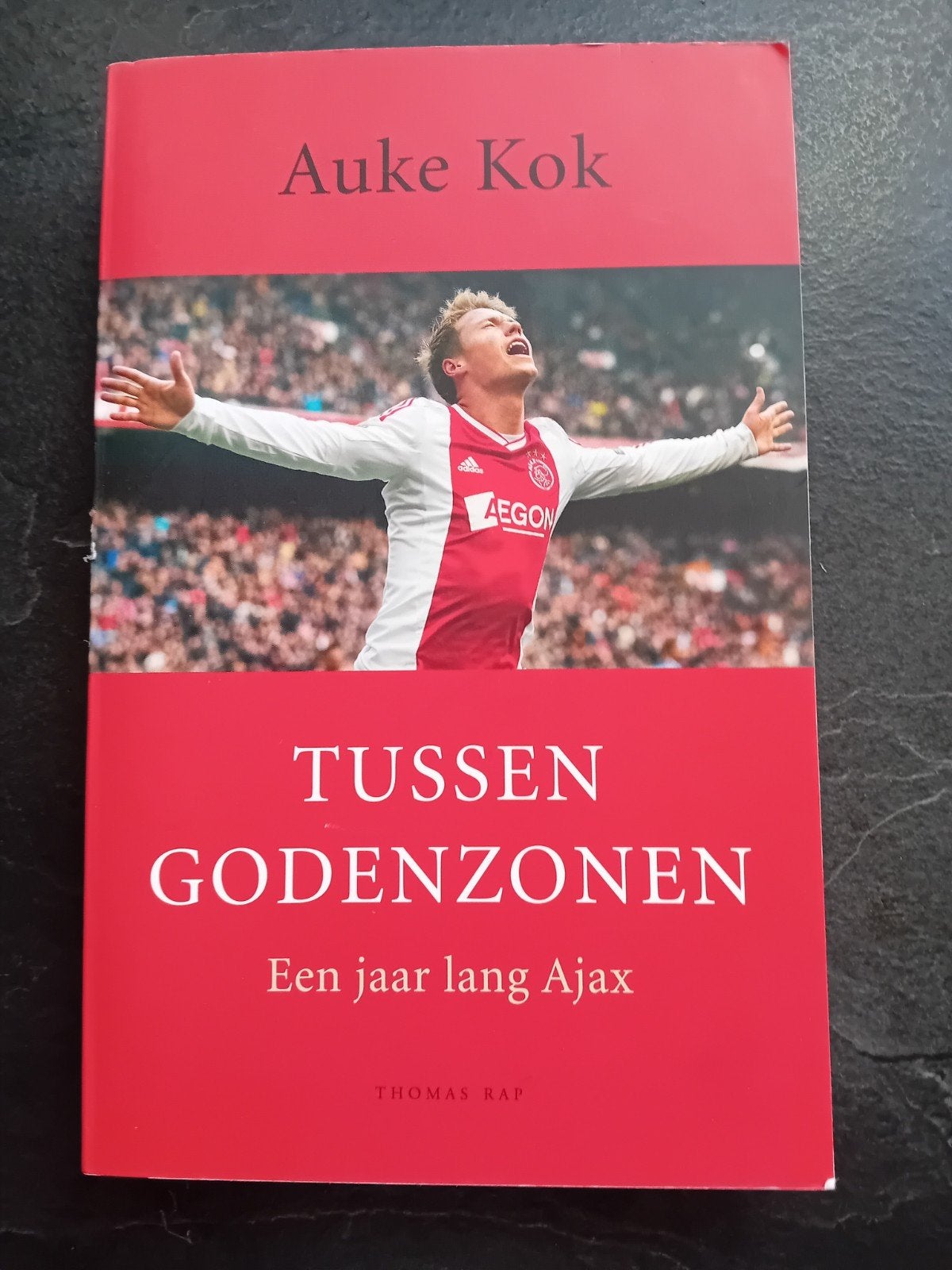 Tussen Godenzonen: Een jaar lang Ajax - Auke Kok, Ophalen of Verzenden, Gelezen, Auke Kok, Balsport