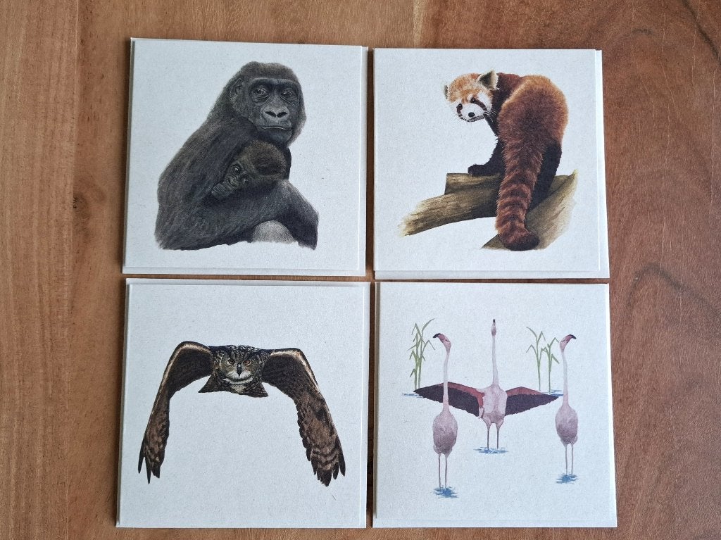 Mooie kaarten met Gorilla, Rode Panda, Uil, Flamingo, Verzamelen, Ophalen of Verzenden, 1980 tot heden, Ongelopen, Wild dier