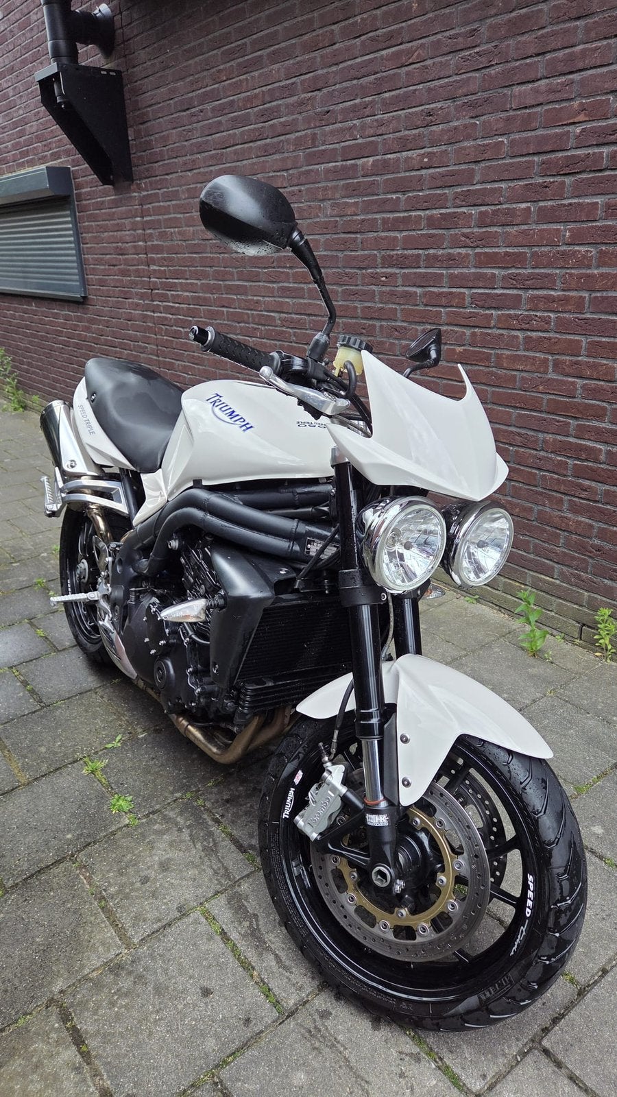 Motor Triumph Speed Triple 1050 (2009), Particulier, Naked bike
