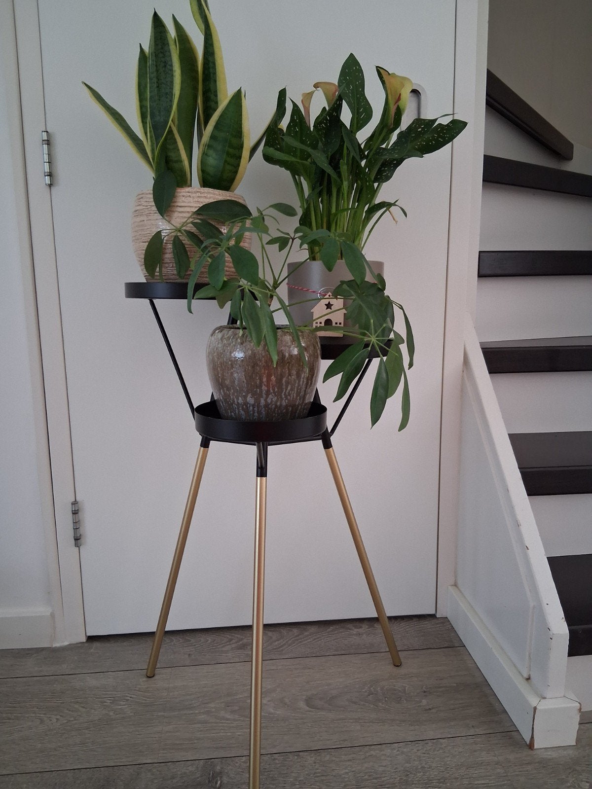 Mica Decorations Piccolo - plantentafel / driepoot standaard, Huis en Inrichting, Ophalen, Halfschaduw, Minder dan 100 cm