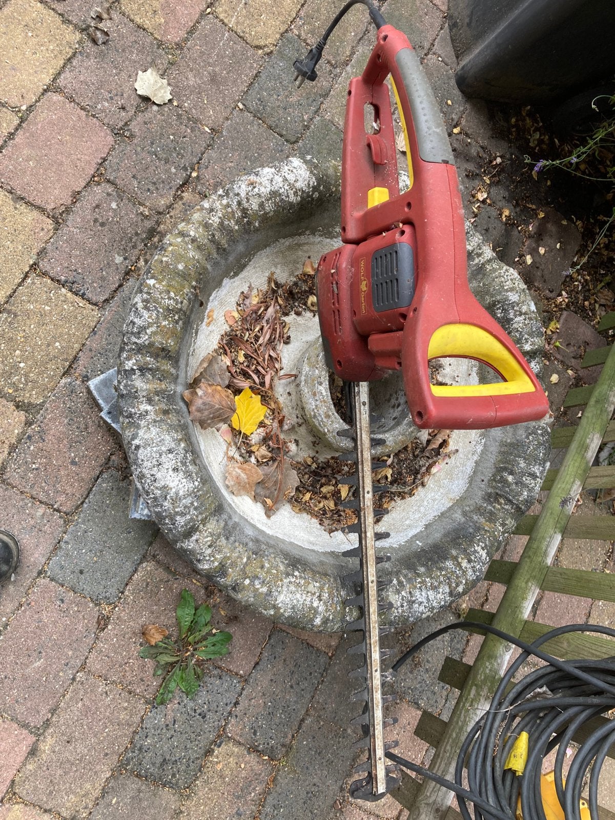 Heggeshaar elektrische, Ophalen, Gebruikt, Elektrisch